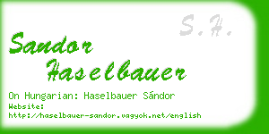 sandor haselbauer business card